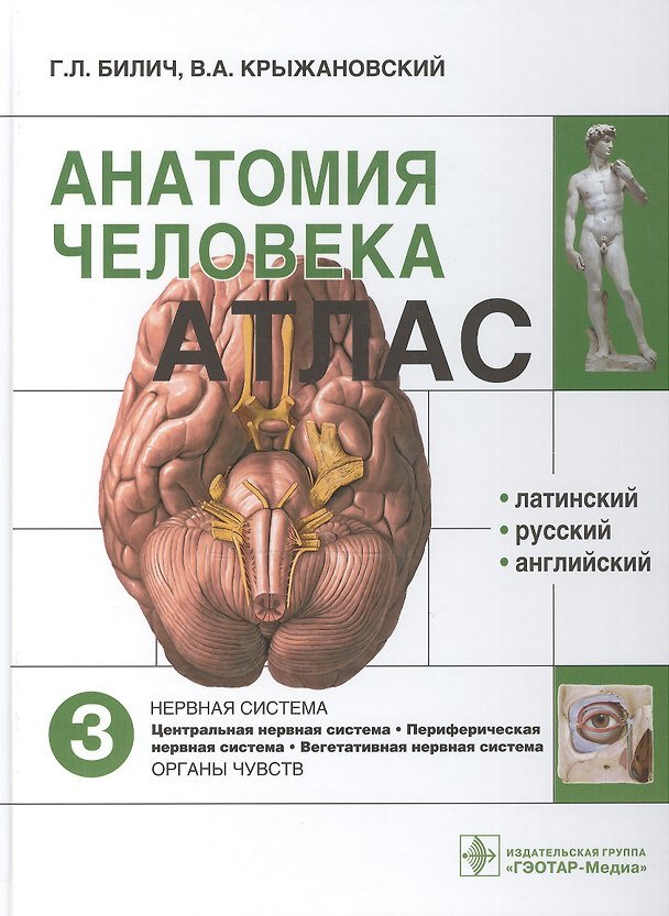 Закладка пластик Мельница (75314-43) 2512198 — 1