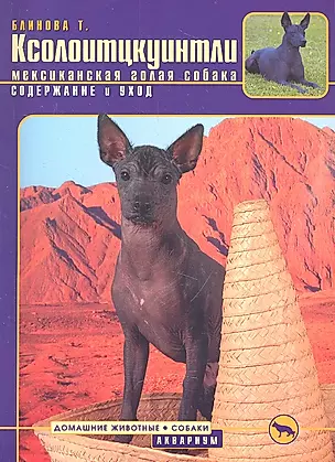 Ксолоитцкуинтли. (мексиканская голая собака) Содержание и уход (цвет.) — 2313098 — 1