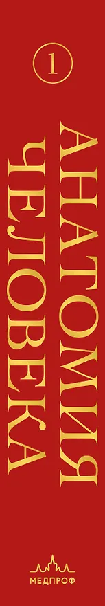 Книга Анатомия человека. Эксклюзивное издание с 50-летней историей. Том 1 (Джузеппе Анастази, Марио Каннас, Гвидо Кавалетти) — 5