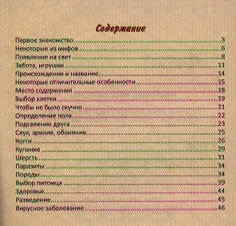 Книга Морские свинки : правила ухода (Оксана Прокофьева, О. Прокофьева) — 2