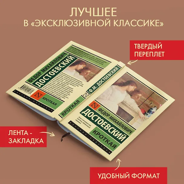 Книга Кроткая (Федор Достоевский) — 4