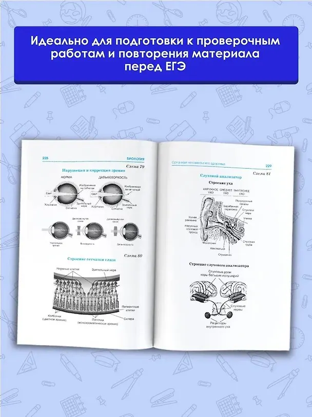 Книга ЕГЭ. Биология. Весь школьный курс в таблицах и схемах для подготовки к единому государственному экзамену (Андрей Маталин) — 5