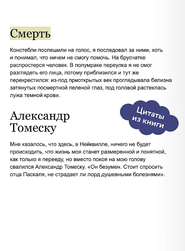 Книга Загадочная история Аллана Уэйна (Рита Хоффман) — 9