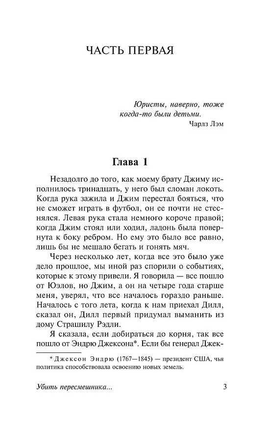 Книга Убить пересмешника… (Харпер Ли) — 11
