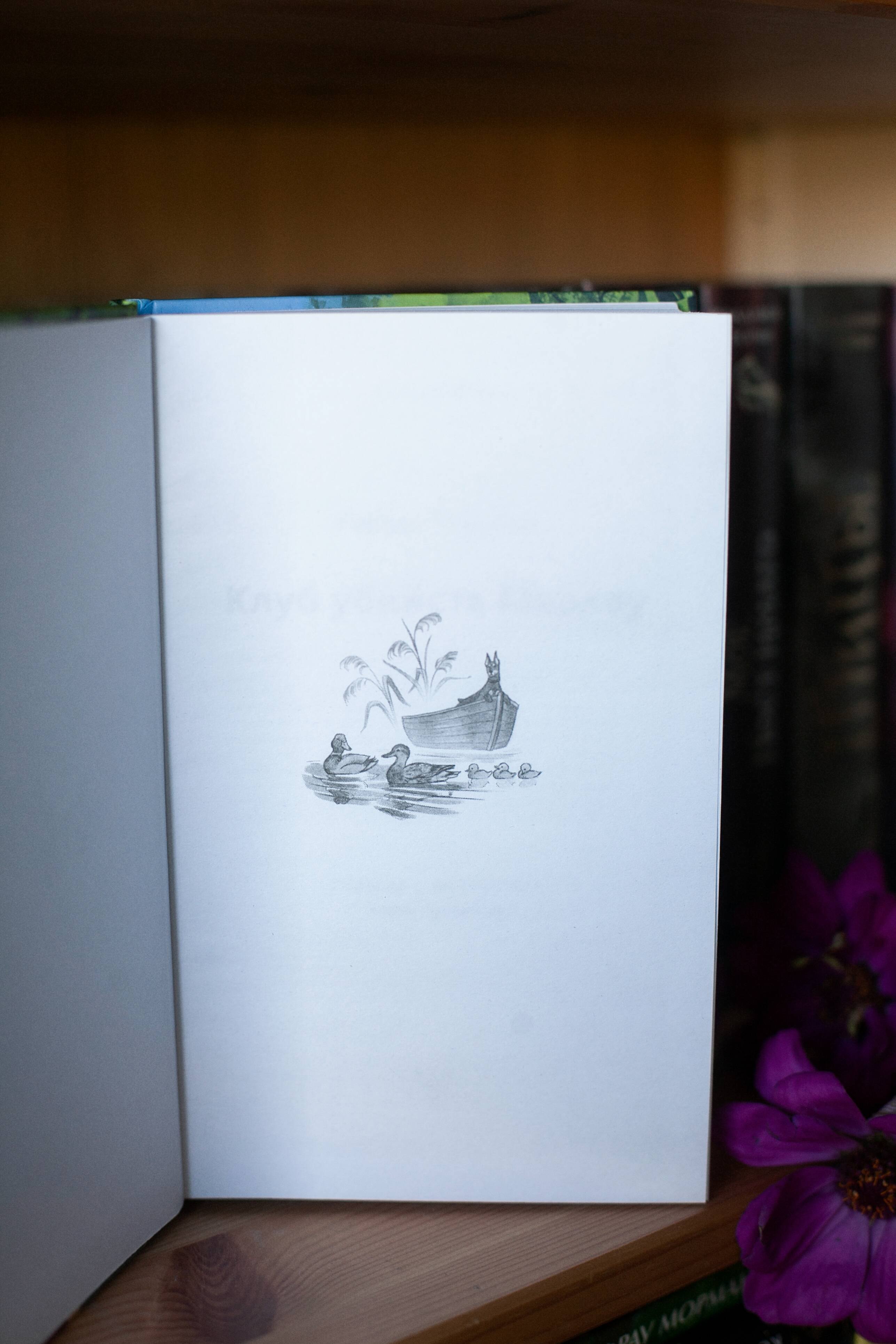 Изображение бумажной книги