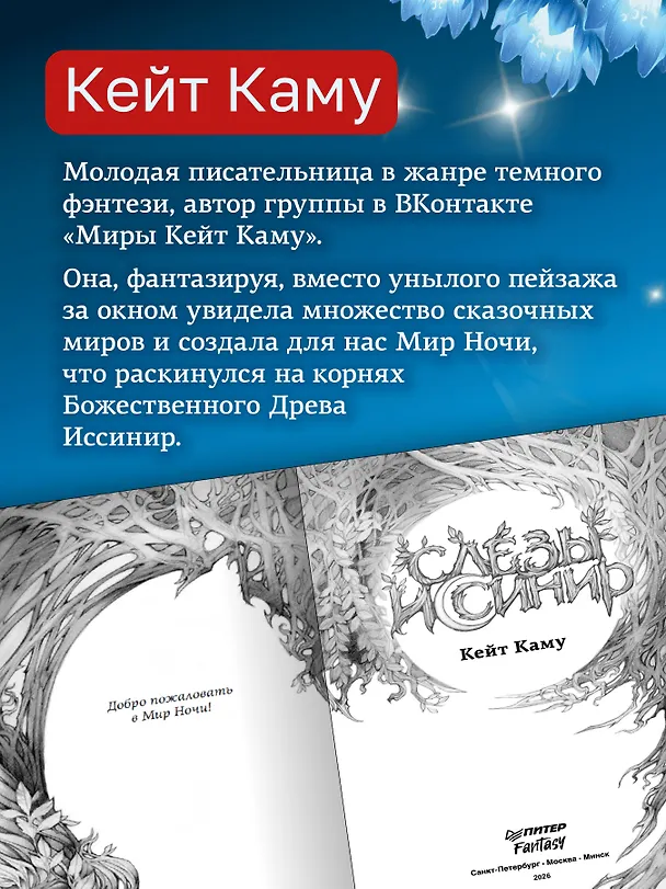 Книга Слёзы Иссинир (Кейт Каму) — 6