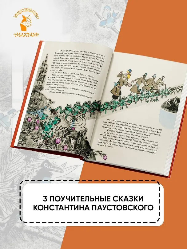 Книга Сказки (Константин Паустовский) — 6