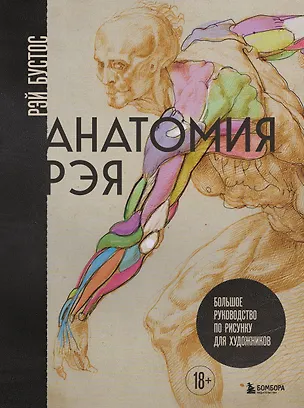Книга Анатомия Рэя. Большое руководство по рисунку для художников (Рэй Бустос)