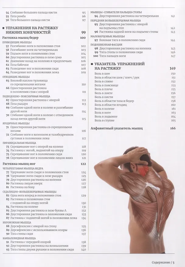 Книга Анатомия растяжки и 100 базовых упражнений () — 3