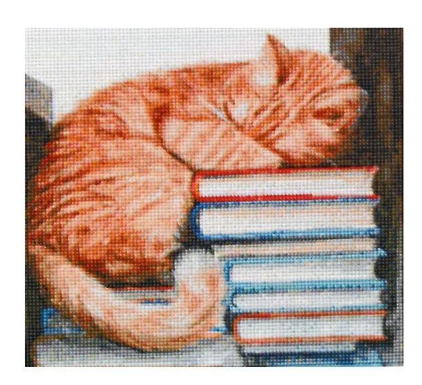 Алмазная мозаика (классическая) с подрамником, с полным заполнением "Котик спит в книгах", 30 х 30 см 3059236 — 2