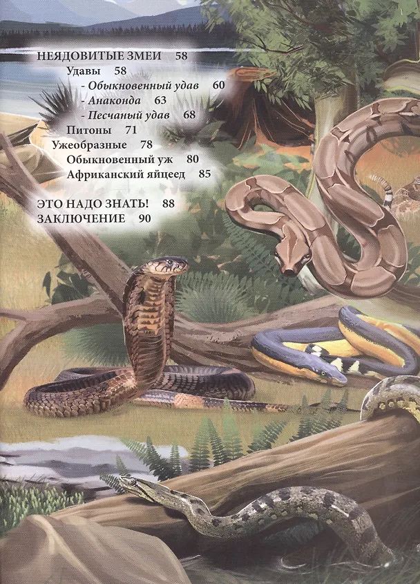 Книга ЭНЦИКЛОПЕДИЯ. ХОЧУ ЗНАТЬ. ЗМЕИ () — 3