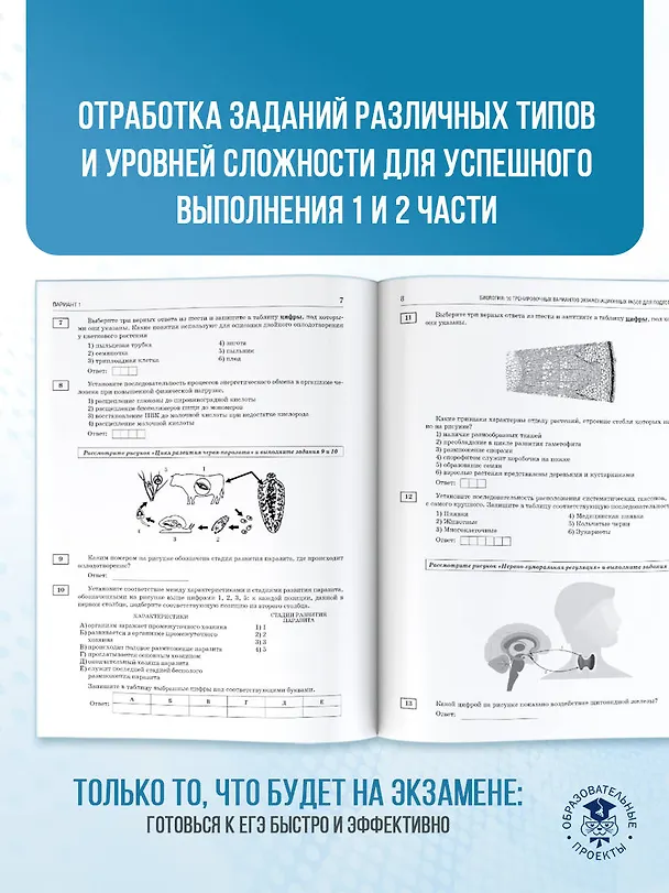Книга ЕГЭ-2026. Биология. 10 тренировочных вариантов экзаменационных работ для подготовки к единому государственному экзамену (Лариса Прилежаева) — 8