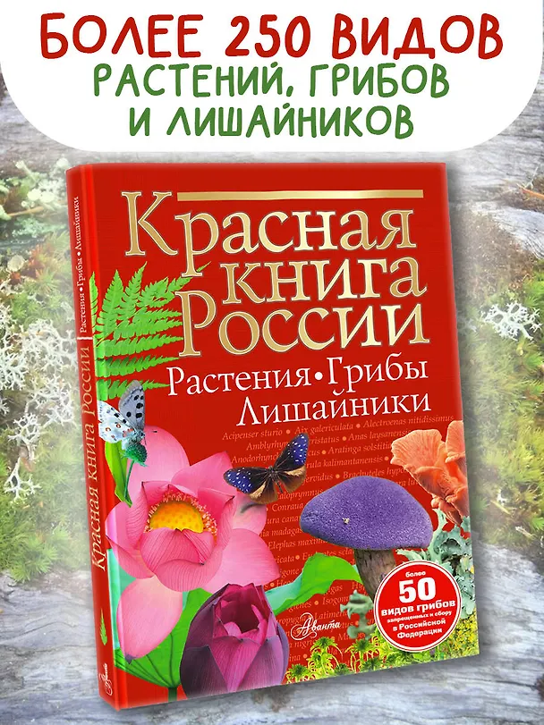 Книга Красная книга России. Растения. Грибы. Лишайники (Ирина Пескова) — 5