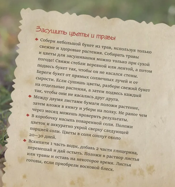 Книга Черемушки () — 4