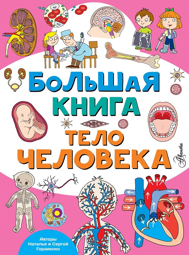 Книга Большая книга. Тело человека (Наталья Гордиенко) — 1