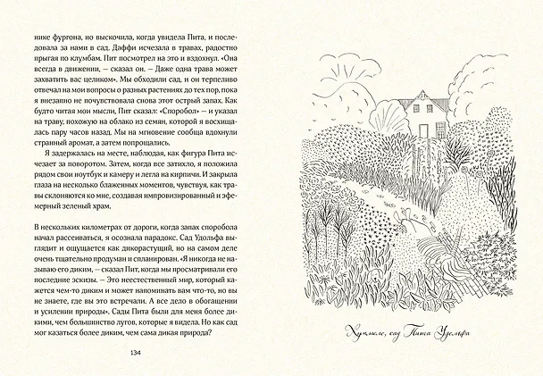 Книга Маленькая книга счастья. Где прячется радость и как ее найти (Ингрид Фетелл Ли) — 5
