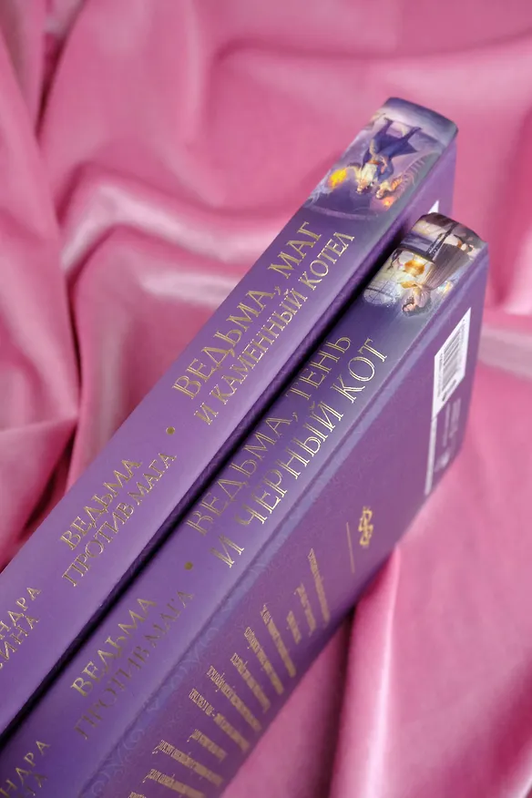 Книга Ведьма, маг и каменный котел (Александра Лисина) — 14