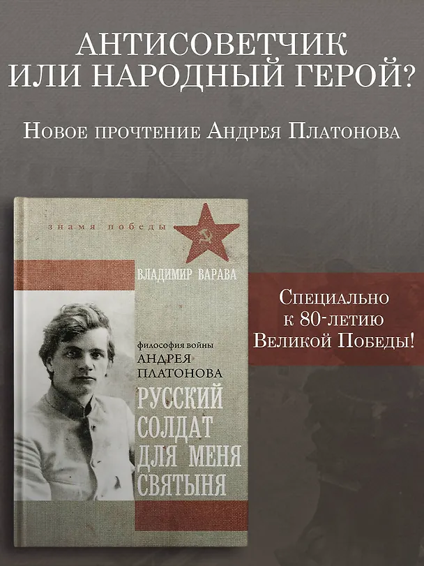 Книга Русский солдат для меня святыня (Владимир Варава) — 6