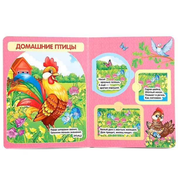 Книга Загадки о животных (Владимир Степанов) — 2