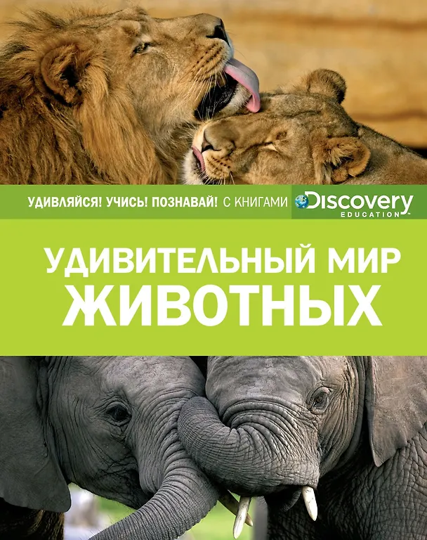 Книга Удивительный мир животных () — 1