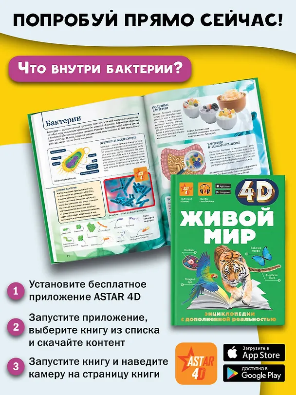 Книга Живой мир (Анна Спектор) — 9