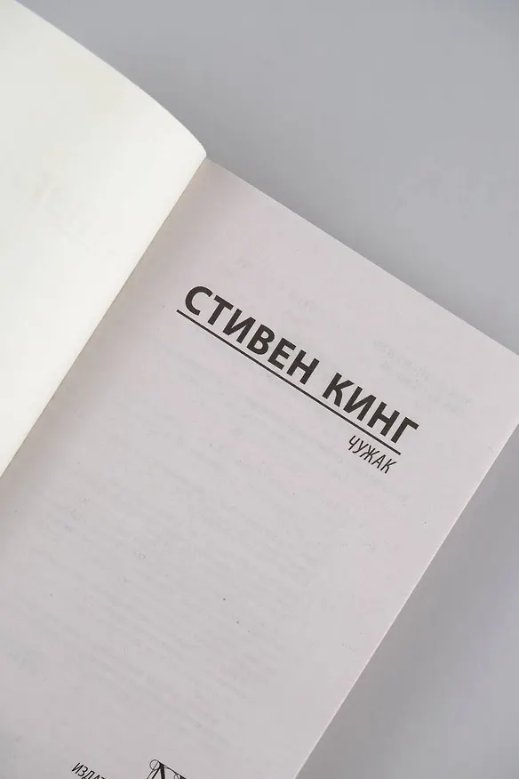 Книга Чужак (Стивен Кинг) — 10