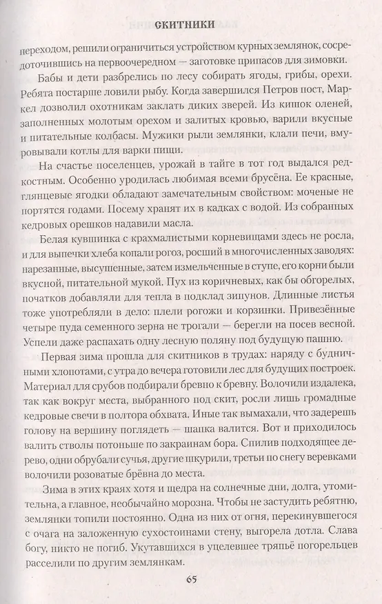 Книга Скитники (Камиль Зиганшин) — 5