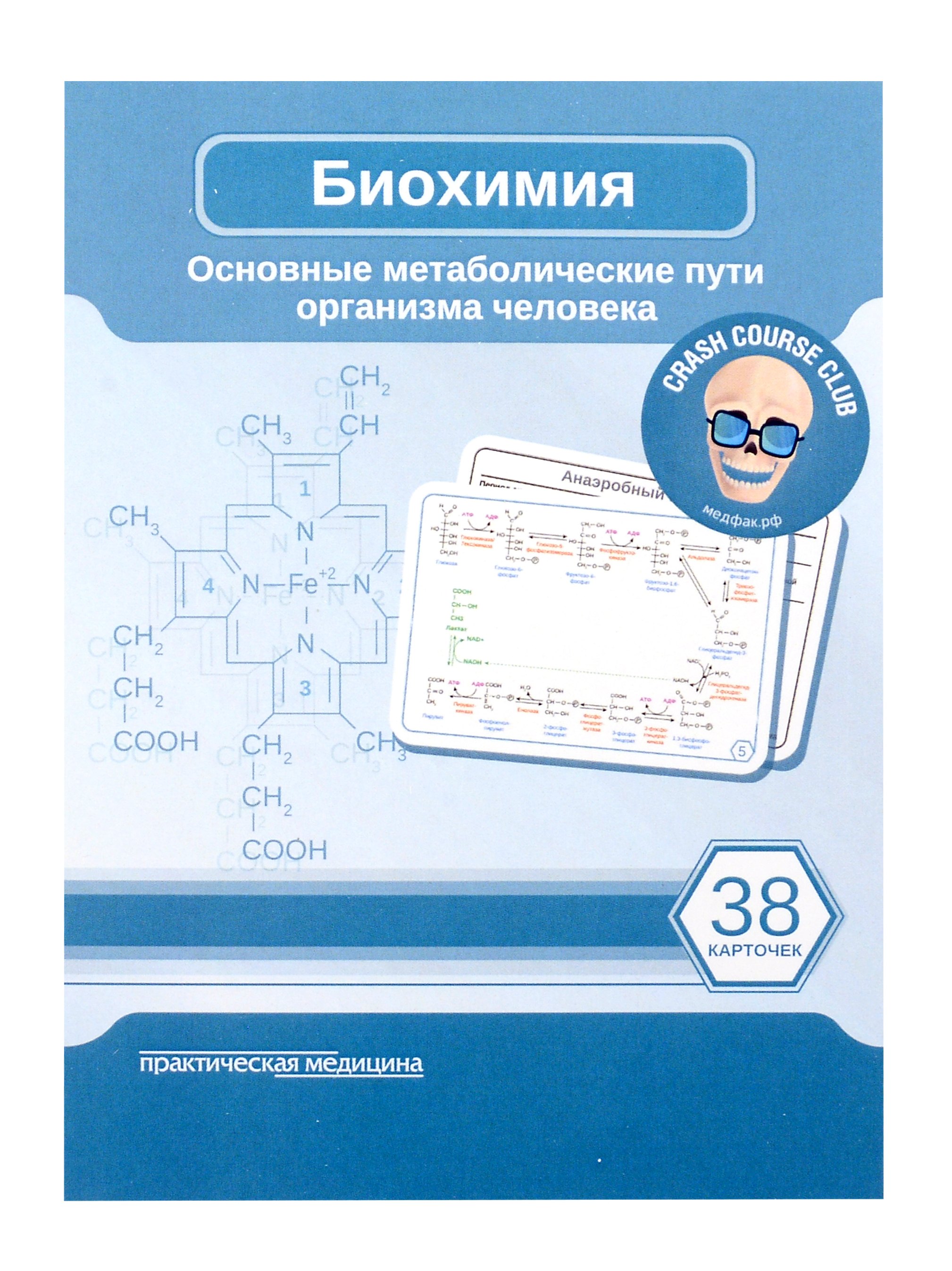 

Биохимия. Карточки. Основные метаболические пути организма человека (38 шт.)