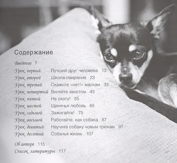 Книга Наши лучшие книги о собаках. 10 простых уроков счастья для владельцев собак (комплект из 4 книг) () — 2