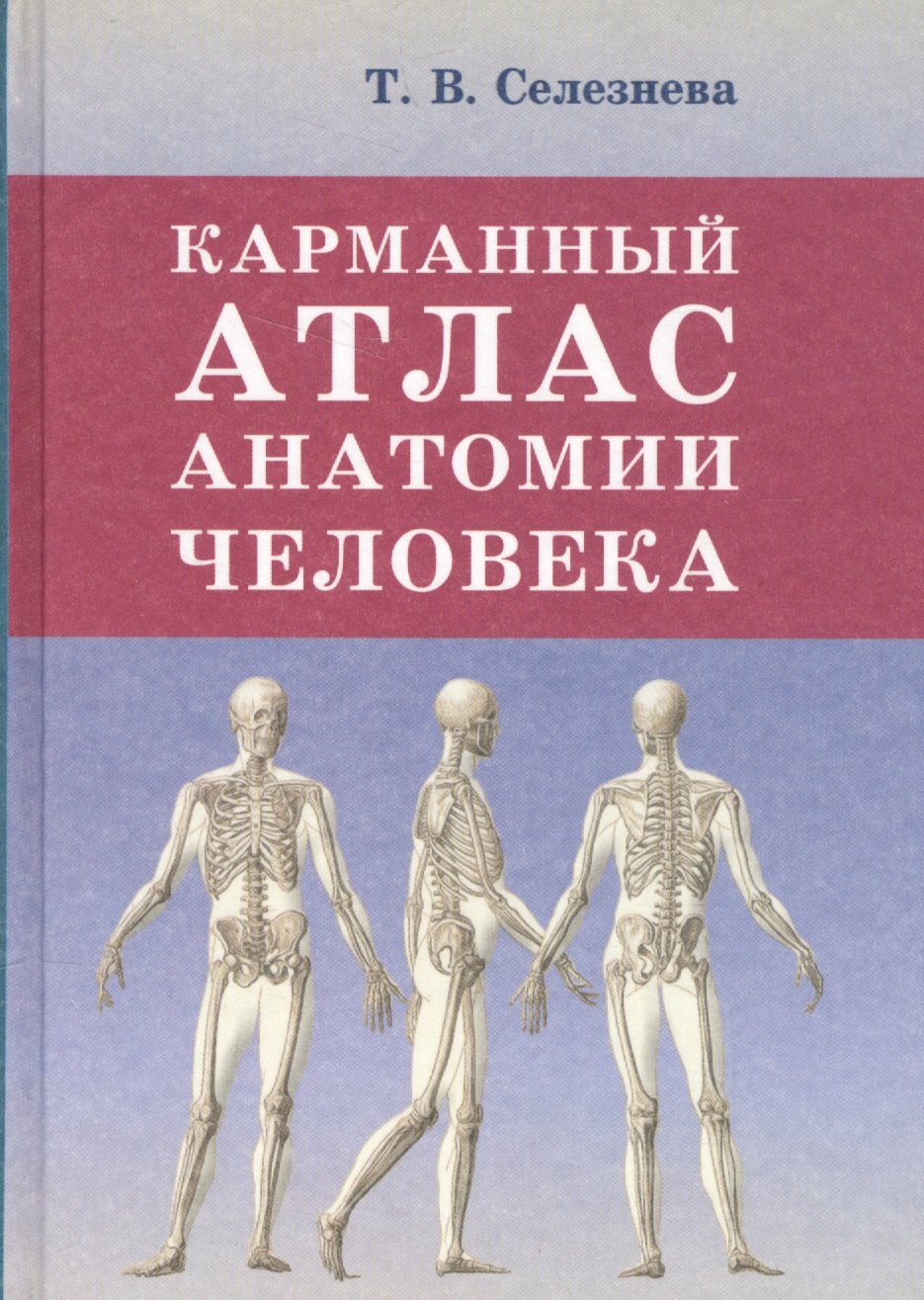 

Карманный атлас анатомии человека