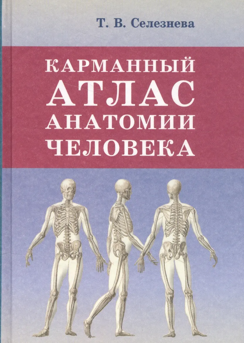 Карманный атлас анатомии человека
