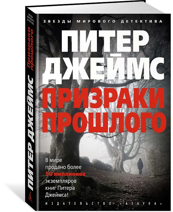 Книга Призраки прошлого (Питер Джеймс) — 2