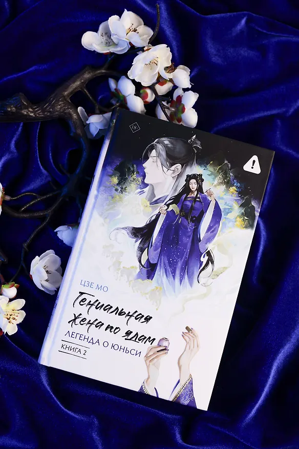 Книга Гениальная жена по ядам: Легенда о Юньси. Книга 2 (Мо Цзе) — 9