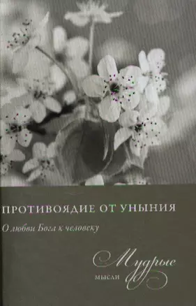 Противоядие от уныния. О любви Бога к человеку. Из собрания священника Николая Лызлова — 2340495 — 1