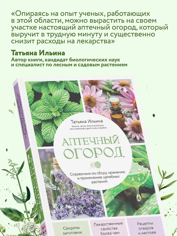 Книга Аптечный огород. Справочник по сбору, хранению и применению целебных растений (новое оформление) (Татьяна Ильина) — 10