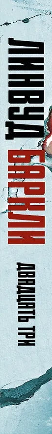 Книга Двадцать три (Линвуд Баркли) — 3