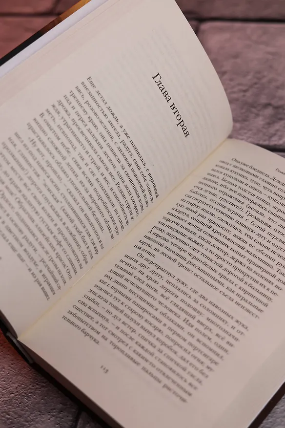 Книга Дар (Владимир Набоков) — 11