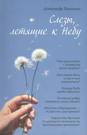 Слезы, летящие к небу: Зачем современному человеку христианство? — 2425619 — 1