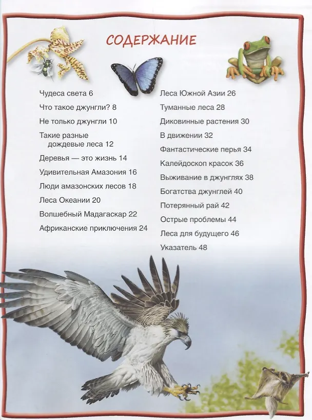 Книга Джунгли. (Камилла де ла Бедуайер) — 2