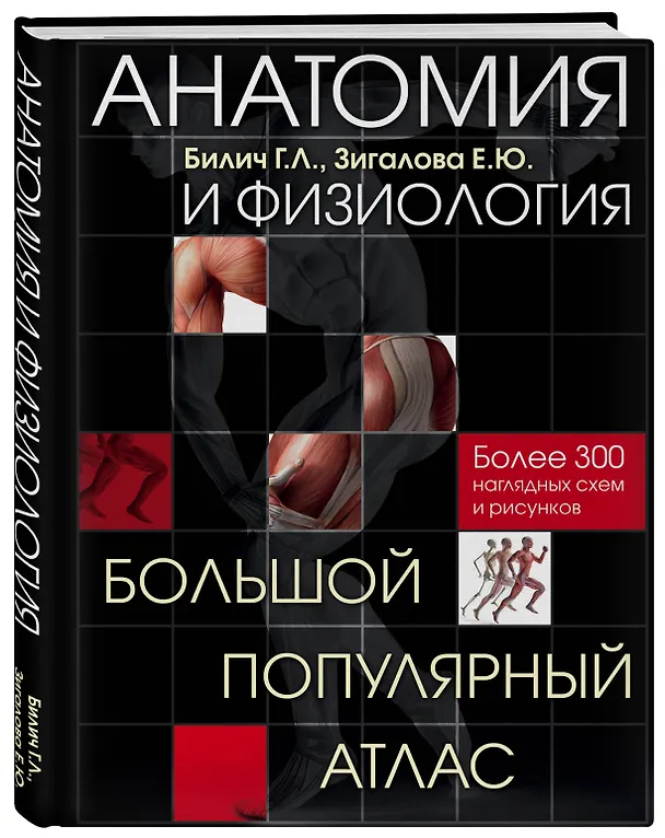 Книга Анатомия и физиология. Большой популярный атлас (Елена Зигалова, Габриэль Билич) — 4