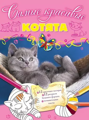 Котята — 2477435 — 1