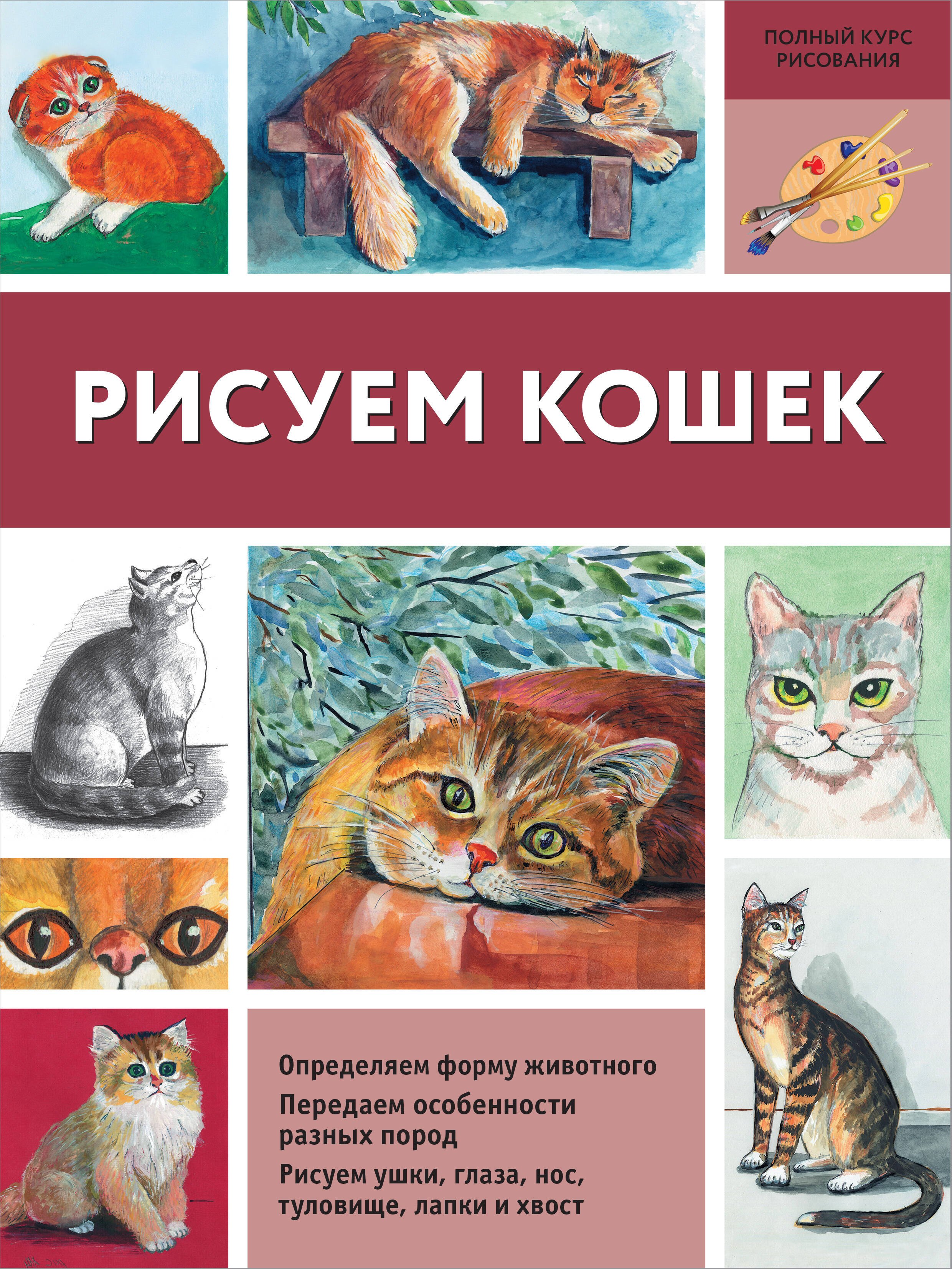 

Рисуем кошек
