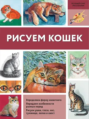 Книга Рисуем кошек (Нина Щербакова)