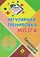 Регулярная тренировка мозга: ежедневные занятия. Книга 6 — 3179306 — 1