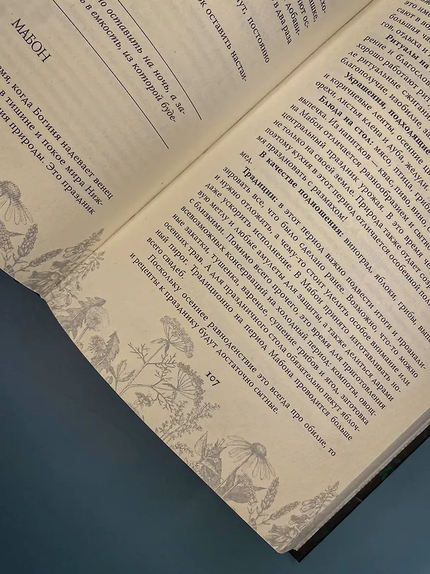 Книга Викка. Ключ к природной магии (Виктория Лим, Александр Борода) — 7