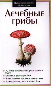 Лечебные грибы ИС