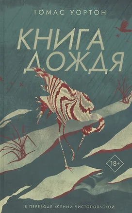 Книга дождя — 3078154 — 1