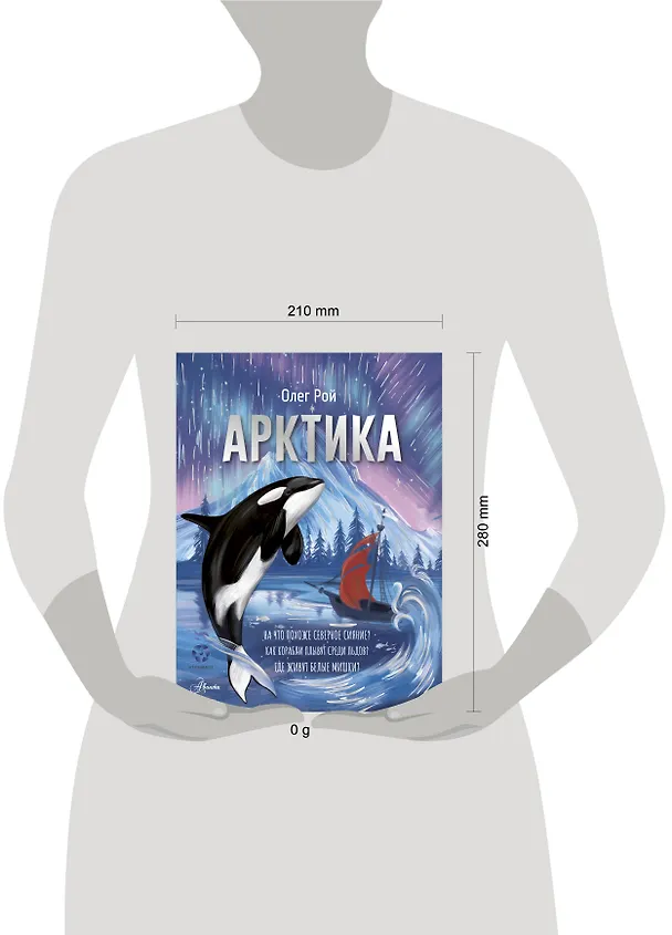 Книга Арктика (Олег Рой) — 16