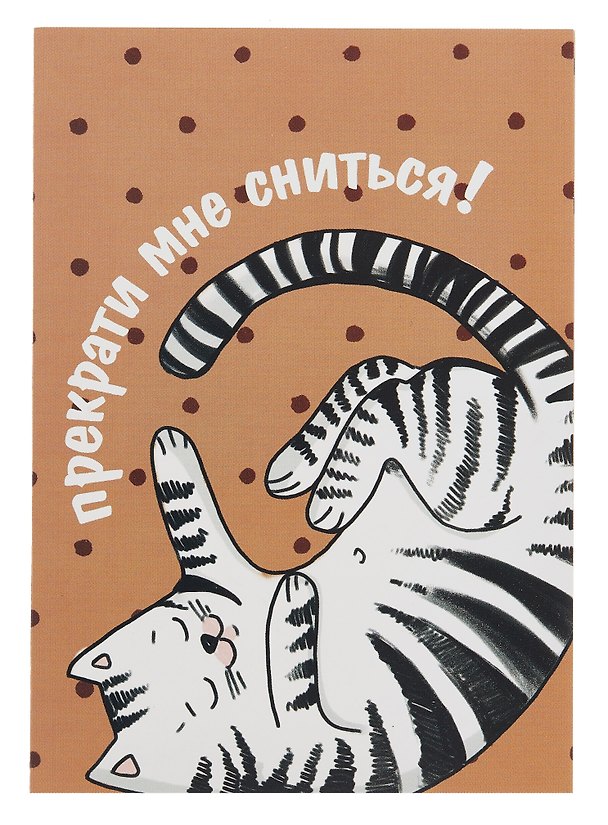 Открытка двойная "Коты. Прекрати сниться" 3085559 — 1