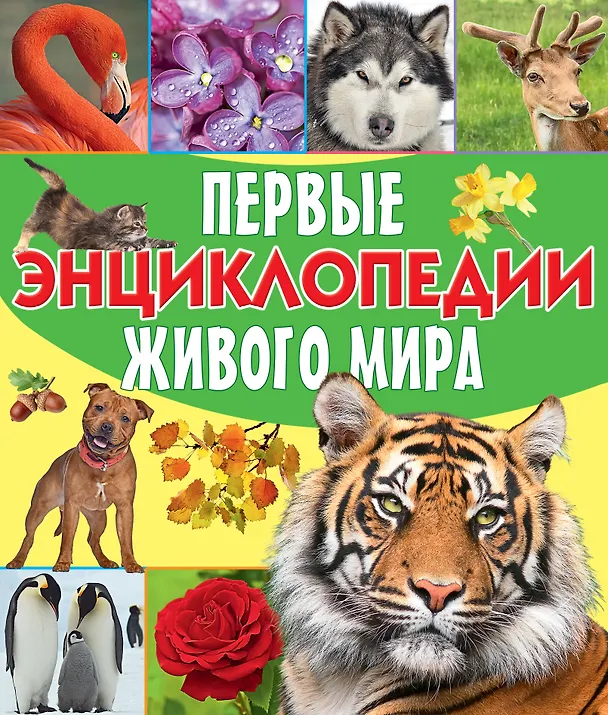 Книга Первые энциклопедии живого мира () — 1